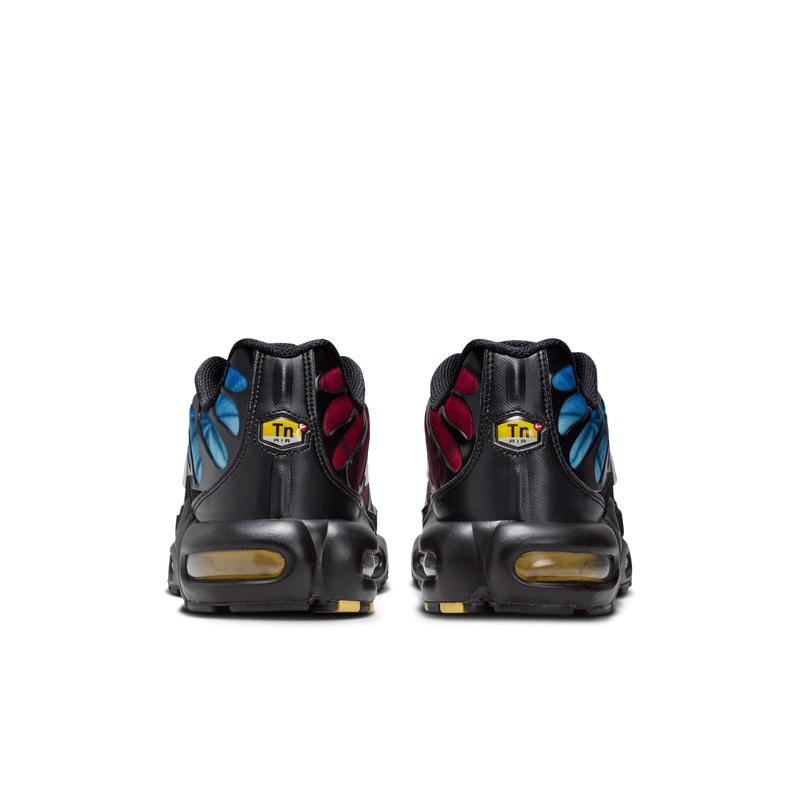 Air Max Plus 25th Anniversary-FV0393-001-schoenen JHype