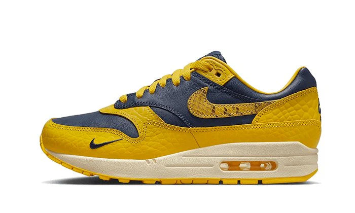 Nike Air Max 1 CO.JP Michigan-FJ5479-410-JHypes