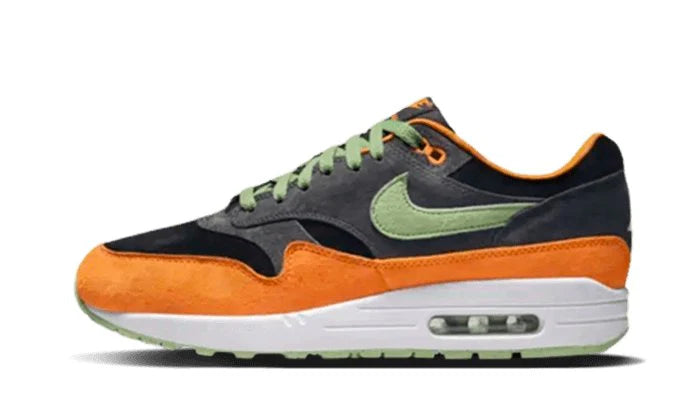 Nike Air Max 1 PRM Duck Anthracite-DZ0482-001-JHypes