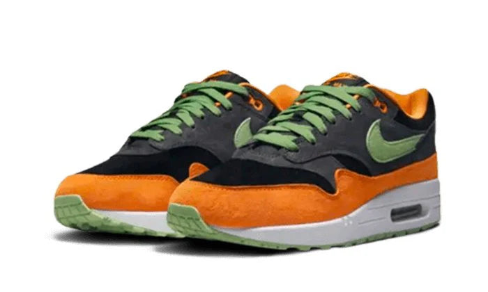 Nike Air Max 1 PRM Duck Anthracite-DZ0482-001-sneaker JHypes