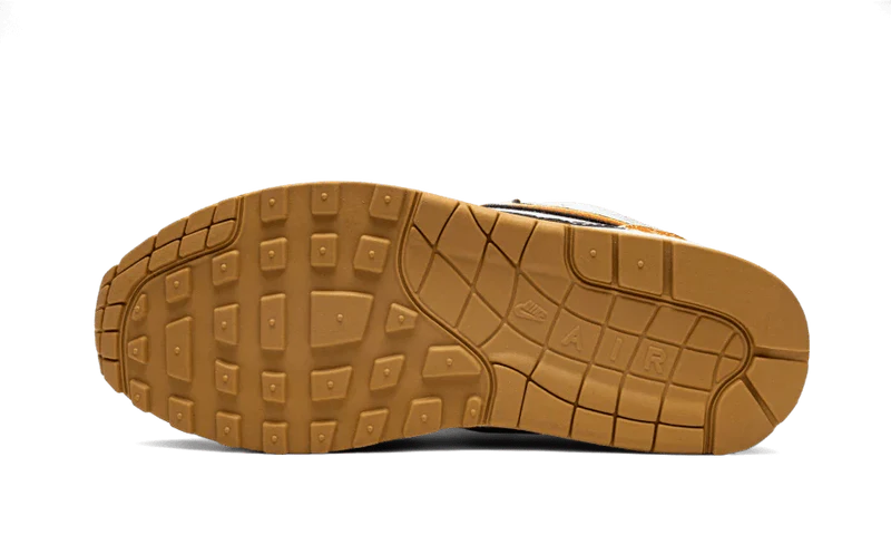 Nike Air Max 1 SP Concepts Heavy-DN1803-900-sneaker JHypes