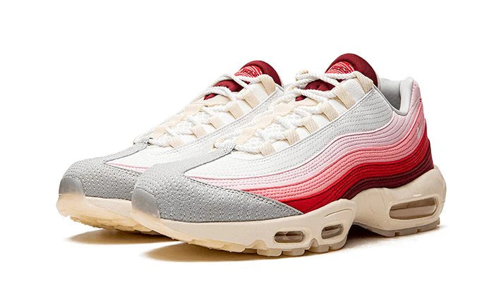 Nike Air Max 95 Anatomy of Air-DM0012-600-schoenen JHypes