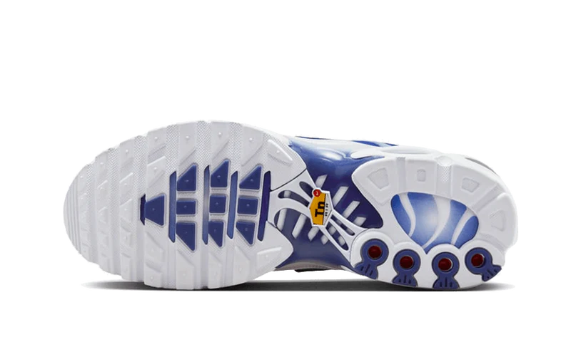 Nike Air Max Plus Blue Fade-FZ4345-100-sneakers JHypes
