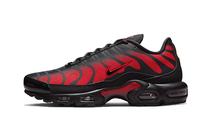 Nike Air Max Plus Bred Reflective-DZ4507-600-JHypes
