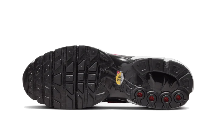 Nike Air Max Plus Dusk-DZ3670-500-sneakers JHypes