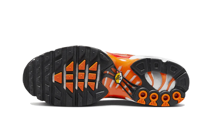Nike Air Max Plus Light Photography-DZ3531-600-sneakers JHypes