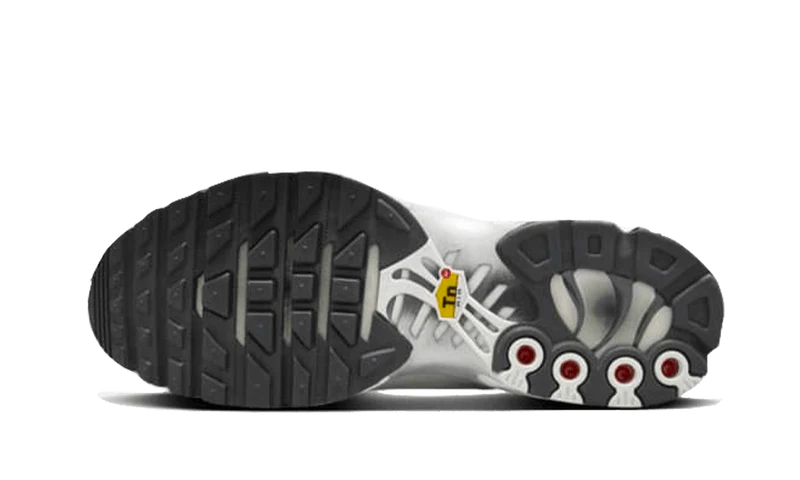 Nike Air Max Plus Reflective Platinum-FZ4342-001-sneakers JHypes