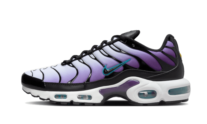 Nike Air Max Plus Reverse Grape - FQ2415-500-JHypes