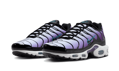 Nike Air Max Plus Reverse Grape - FQ2415-500-sneaker-JHypes