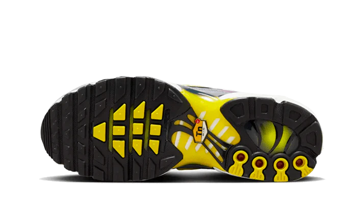 Nike Air Max Plus Violet Dust-FN8007-500-schoenen JHypes