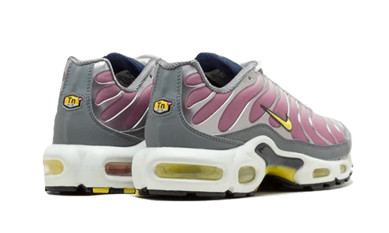 Nike Air Max Plus Violet Dust-FN8007-500-sneakers JHypes