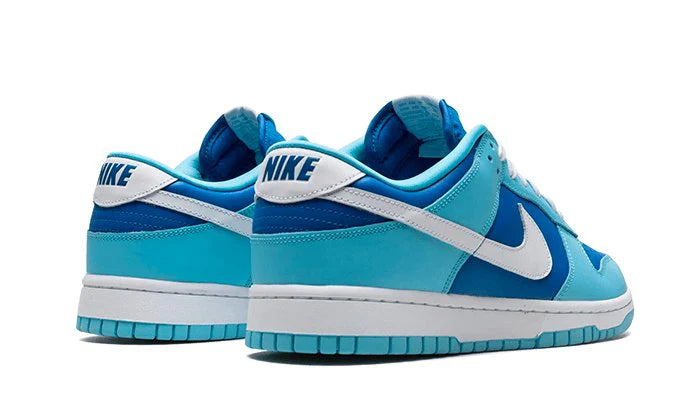 Nike Dunk Low Argon-DM0121-400-schoenen JHypes