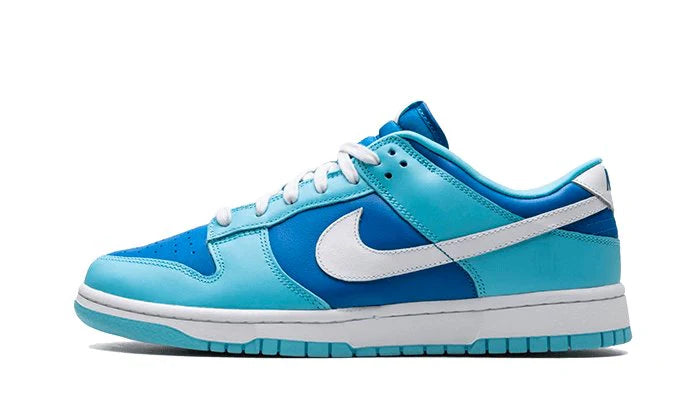 Nike Dunk Low Argon-DM0121-400-sneaker JHypes