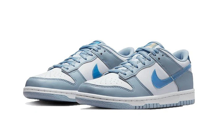 Nike Dunk Low Hologram-FJ4668-400-sneaker JHypes