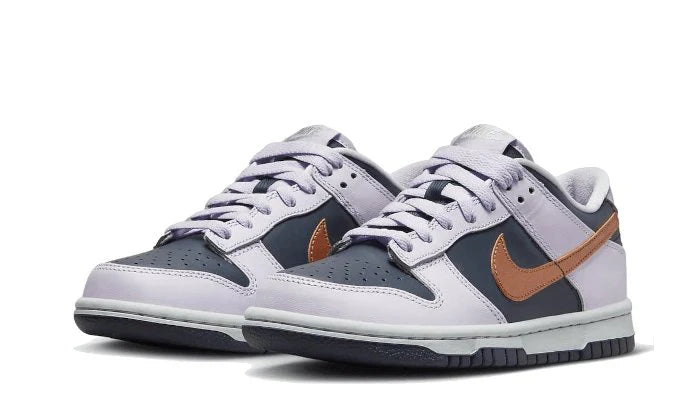 Nike Dunk Low SE Copper Swoosh-DX1663-400-sneakers JHypes