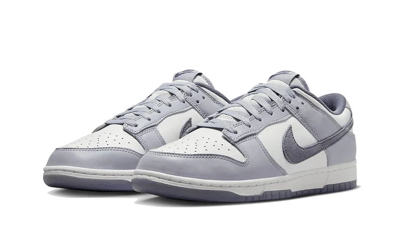 Nike Dunk Low SE Light Carbon-FJ4188-100-sneakers JHypes
