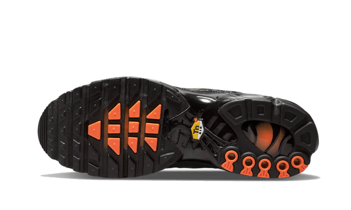 Nike Air Max Plus 3D Swoosh Black -  DR0138-001--sneakers JHypes