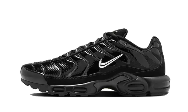 Nike Air Max Plus Black Volt Silver-FJ2591-001-JHypes