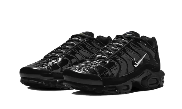 Nike Air Max Plus Black Volt Silver-FJ2591-001-sneaker JHypes