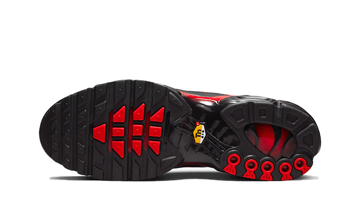 Nike Air Max Plus Bred Reflective-DZ4507-600-sneakers JHypes
