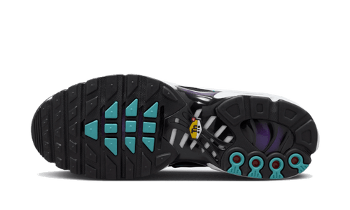 Nike Air Max Plus Reverse Grape - FQ2415-500-sneakers JHypes